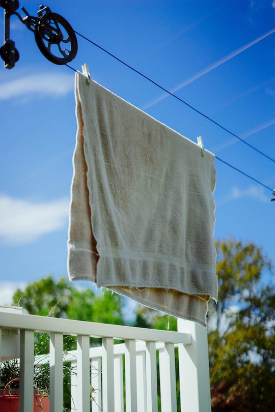 Handtücher können zu wahren Bakterienschleudern werden.