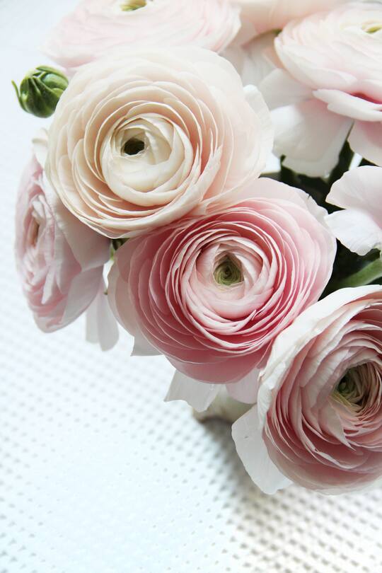 fork and flower X SI Style Rezept: Mandel-Krokant