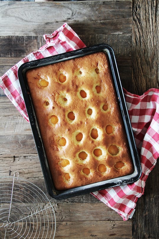 fork and flower X SI Style Rezept: Aprikosenkuchen vom Blech