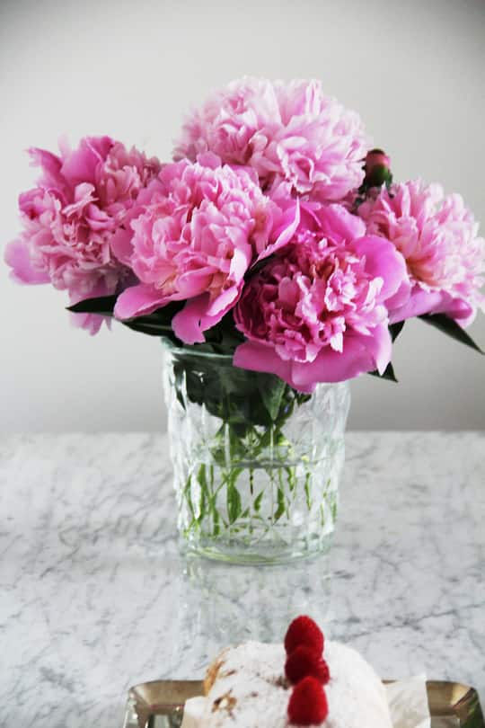 fork and flower X SI Style Rezept: Himbeer-Roulade