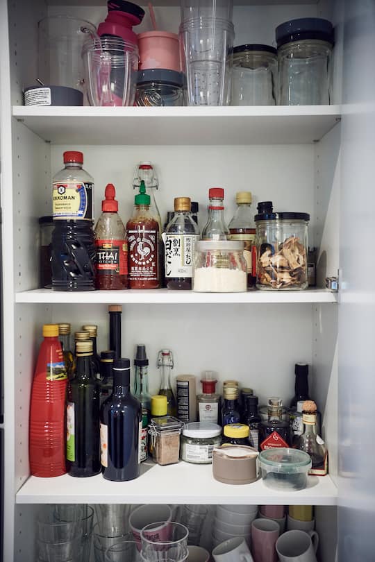 Nenad Mlinarevic Living 2019