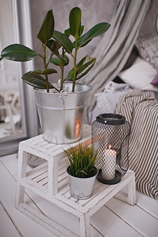 green plants bedroom interior background, bedroom decor, house decoration