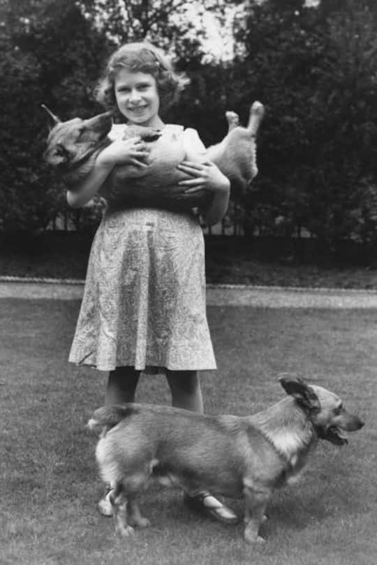 Queen Elizabeth und ihre Hunde