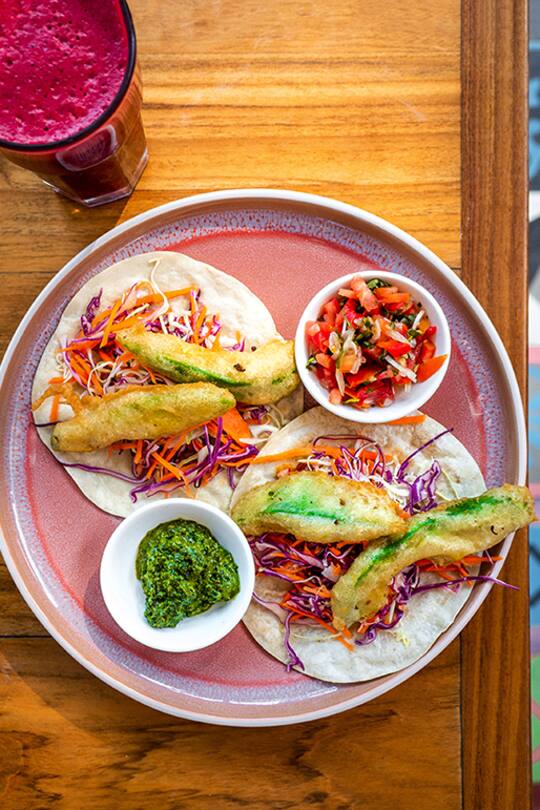 Costa Rica, Nationalpark Tortugero