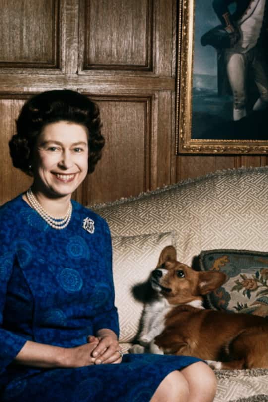 Queen Elizabeth und ihre Hunde