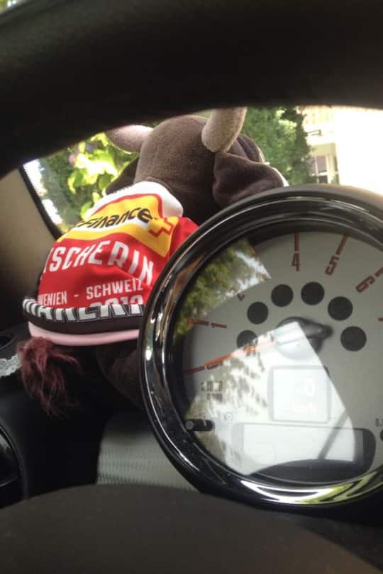 Annette Fetscherin (Grösse) Moderatorin Twitter Nati