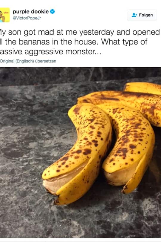 Rache mit Sprüchen und Film auf englisch