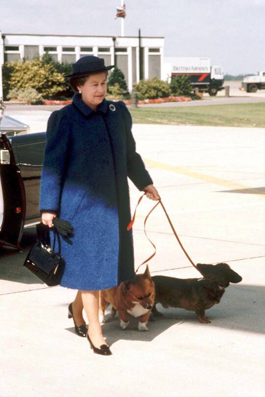 Die Schuhe der Queen in der Gallerie