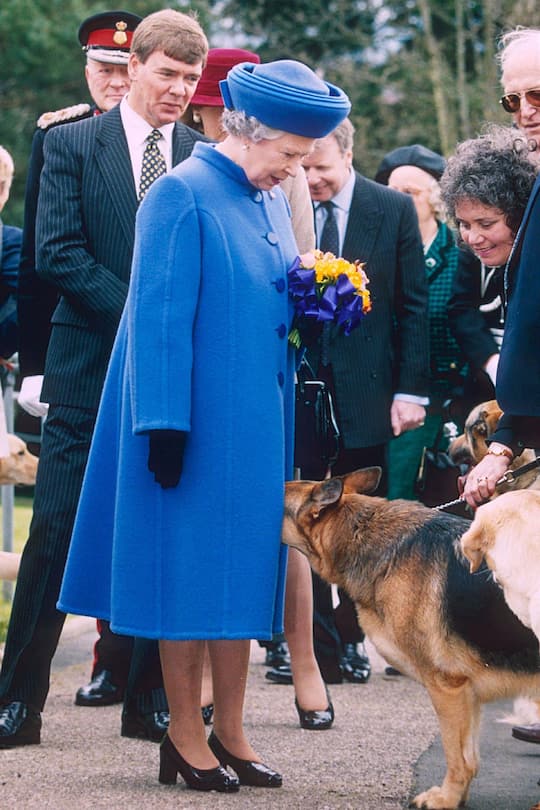 Die Schuhe der Queen in der Gallerie