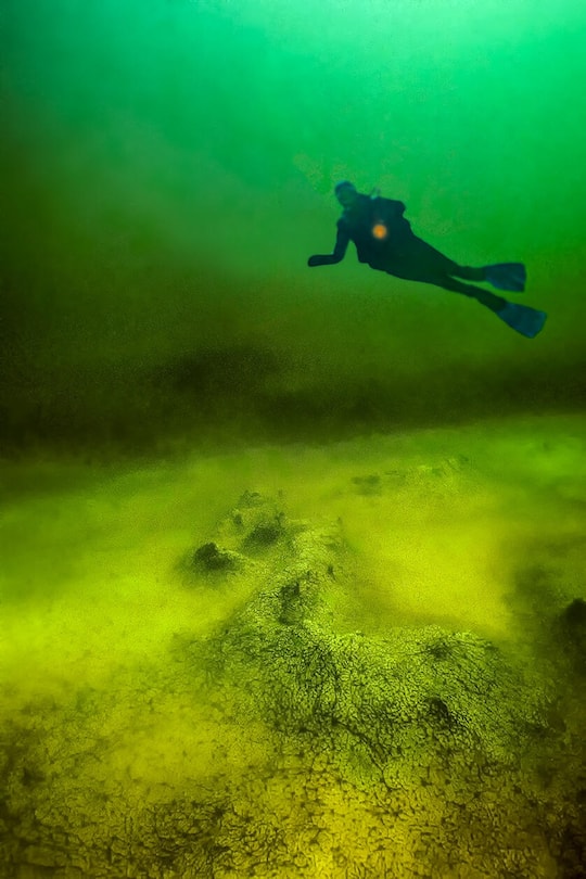 Centro Biologia Alpina ©zvg