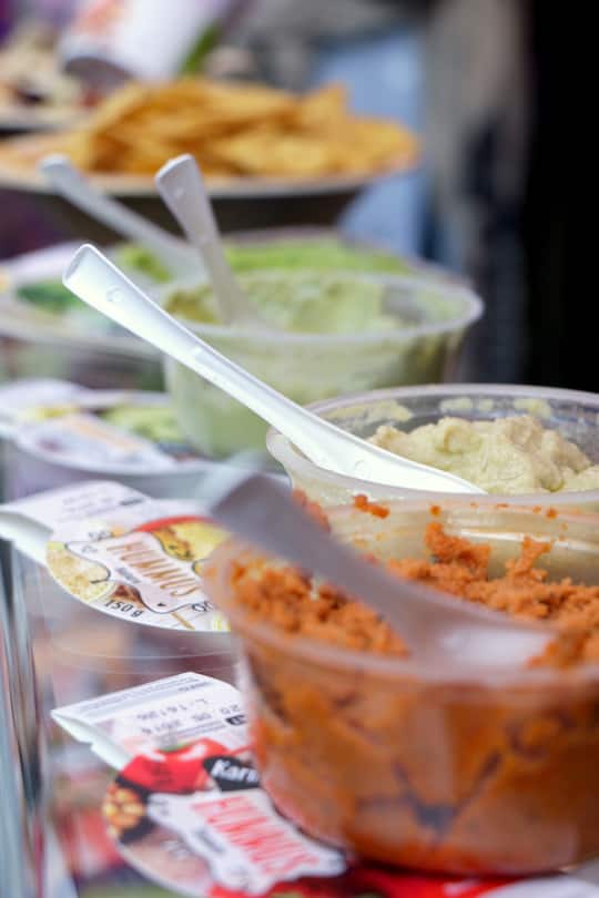 Zoe Torinesi Food-Blog vegan