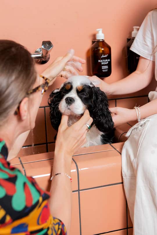 Hanna und Johan Akerström, Gründerfamilie SOEDER, mit ihren Kindern Danny in der Seifenproduktion in Zürich, 21. August 2024