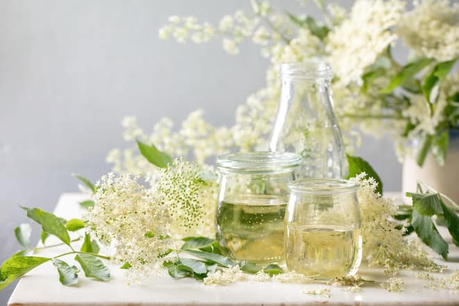Elderberry flowers and leaves, glass jars of sweet homemade elderberry syrup on white marble table.
