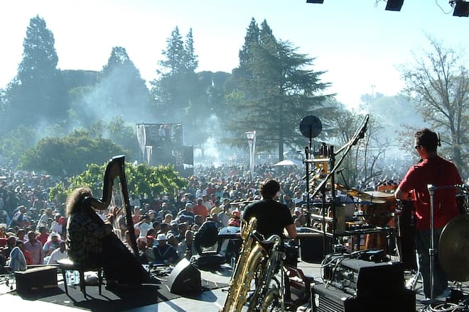 Andreas Vollenweider privat