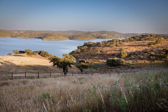 Thomas Sterchi, Unternehmer und Inhaber der Bio-Farm www.terramay.com in Portugal, Geschäftführung Farm Anna und David, 24. Mai 2024