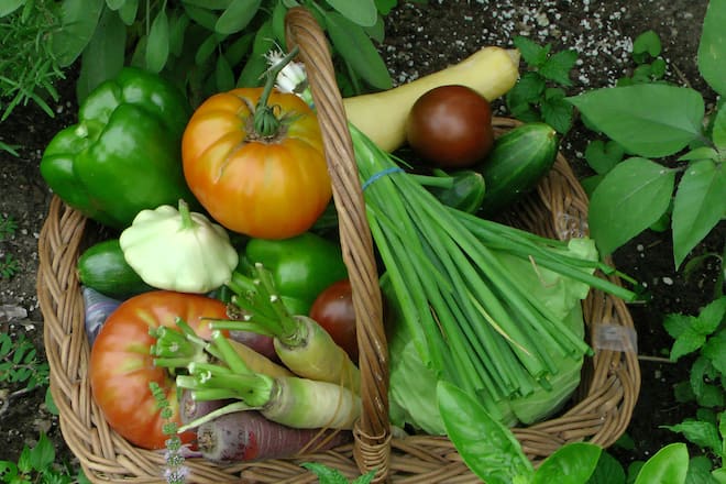 Wenig Kalorien und trotzdem lecker.