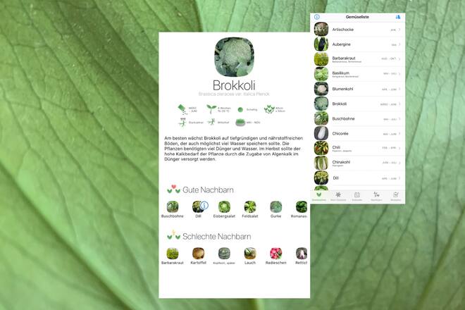 Pflanzen-App