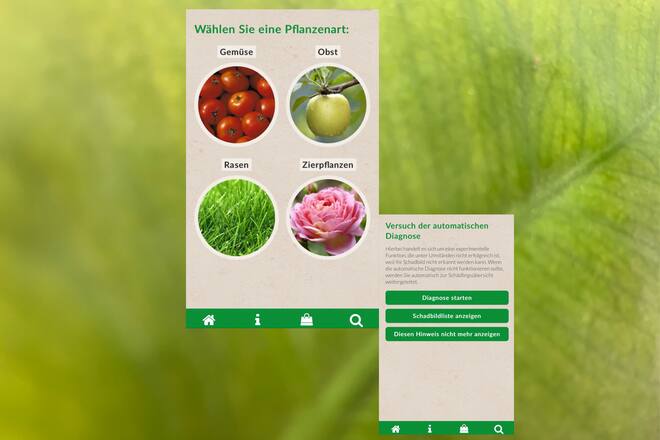 Pflanzen-App