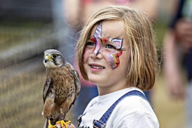 . 04/08/2019. United Kingdom. . Gatcombe Park. Mia Tindall with her face painted holds a small Kestral hawk on the final day of the Festival of British Eventing. PUBLICATIONxINxGERxSUIxAUTxHUNxONLY xi-Imagesx IIM-20005-0019