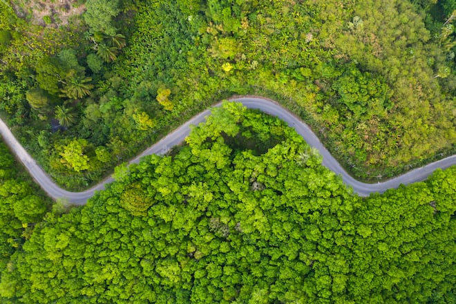 Aerial view of curve road inside tree forest in Southeast Asia