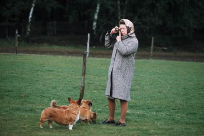 Queen Elizabeth und ihre Hunde
