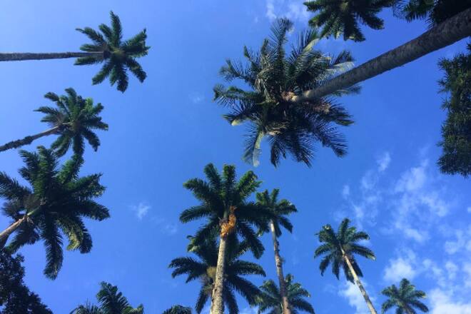 instatrends rio de janeiro