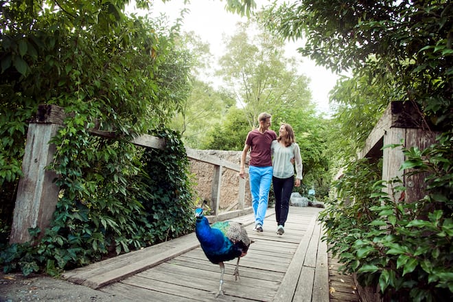 SI_Nicola Spirig und Family