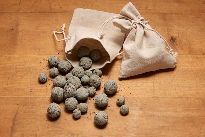 Seed Bombs Family Seiten