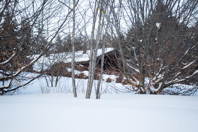 Chalet Bertarelli ( durch die Bäume zu viel schnee und zu geschützt)