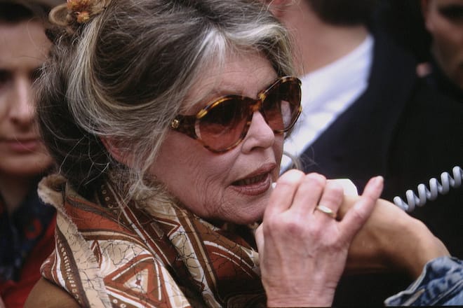 DEMONSTRATION AGAINST THE KILLING OF BABY SEALS IN PARIS (Photo by Jacques Langevin/Sygma/Sygma via Getty Images)