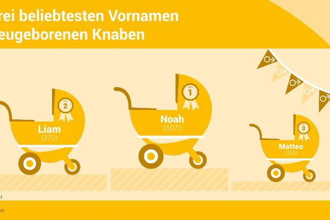 Bundesamt für Statistik, Grafik Bubennamen
