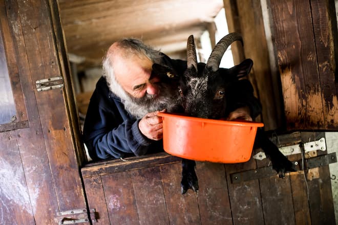 Claudia und Sepp Bauer, ledig sucht