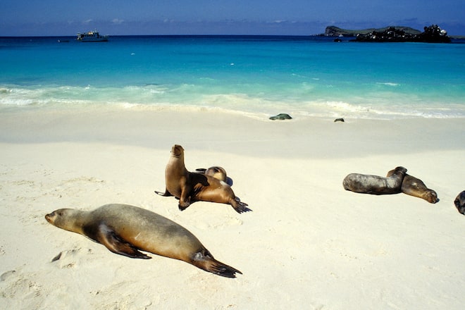 Top 10 Inseln der Welt