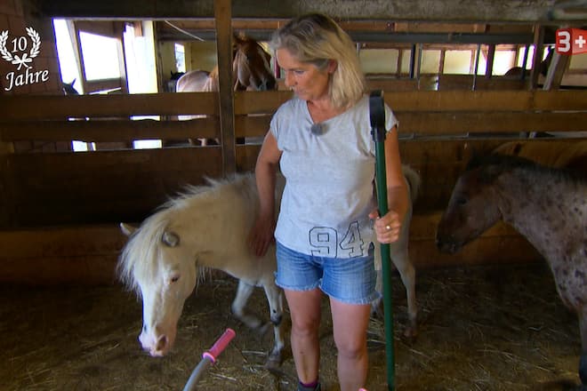 bauer ledig sucht Staffel 14 Bäuerin Sylvia