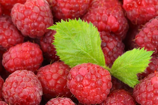 Himbeeren